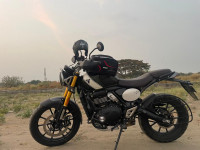 Triumph Scrambler 400 X 2024 Model