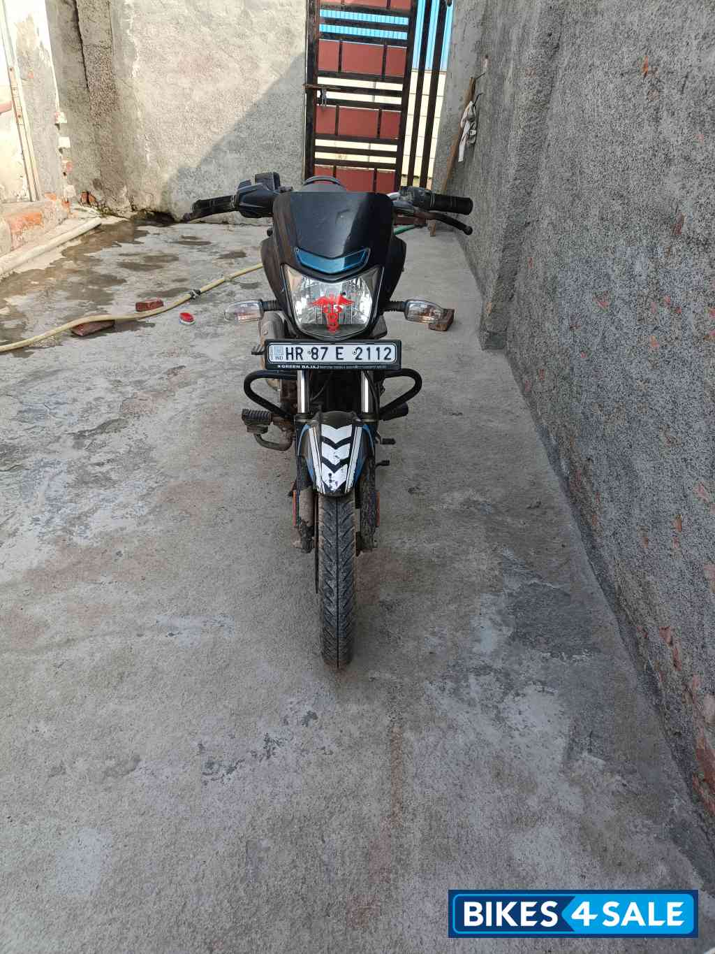 Ebony Blk Blue Dkl Bajaj Platina 110 H-Gear Ebony Blk Blue Dkl Bajaj Platina 110 H-Gear