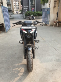 Bajaj Pulsar N250 2024 2024 Model