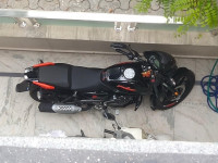 Bajaj Pulsar 125 Split Seat 2020 Model