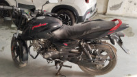 Bajaj Pulsar 150 DTSi 2019 Model