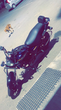 Bajaj Avenger Street 150 2016 Model