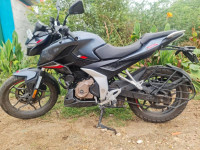 Bajaj Pulsar N250  Model