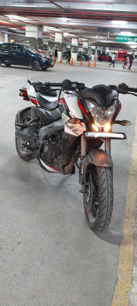 Bajaj Pulsar NS 200 2024 2024 Model