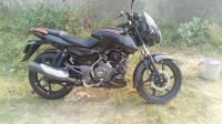 Bajaj Pulsar 125 Split Seat 2021 Model