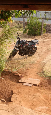 Glossy Ebony Black Bajaj Pulsar NS200