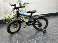 Bicycle Hercules  Model