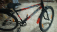 Bicycle  Avon buke apex 2024 Model