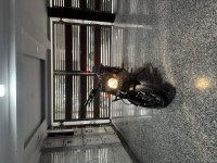 Royal Enfield Hunter 350 Metro