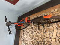 Bicycle Mountain rider