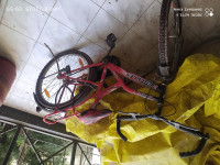 Bicycle Hercules 2015 Model