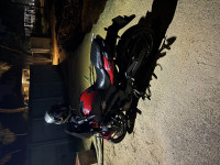 Canyon Red Bajaj Dominar 250