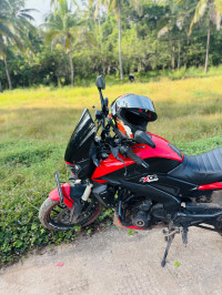 Canyon Red Bajaj Dominar 250