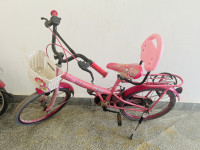 Bicycle BSA 2020 Model