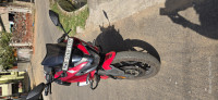 Red Bajaj Pulsar F250