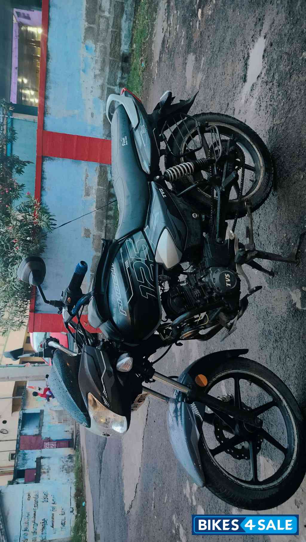 TVS Phoenix TVS Phoenix