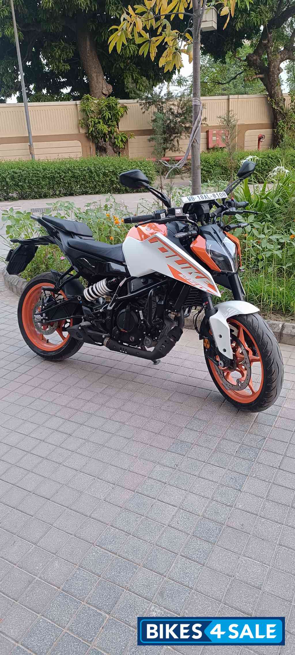 KTM Duke 250 2024