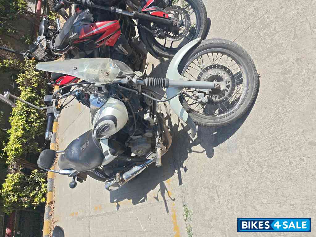 Moon White Bajaj Avenger Cruise 220 Moon White Bajaj Avenger Cruise 220