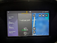 Black / Gray Ather 450 Plus