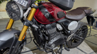 Triumph Scrambler 400 X 2024 Model