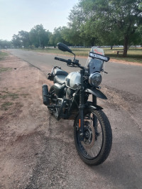 Yezdi Adventure Matte Model