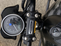 Grey Black Bajaj Avenger Street 160 BS6