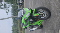 Lime Green Kawasaki Ninja 300 BS6