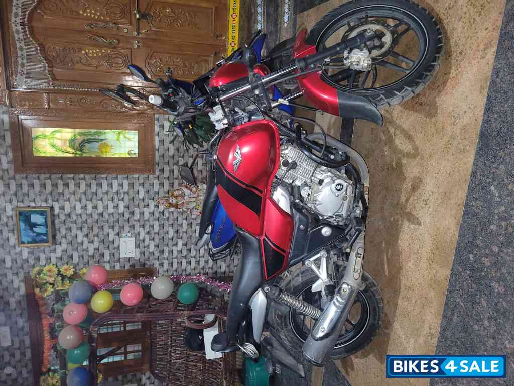 Cock Tak Wine Red Bajaj V15