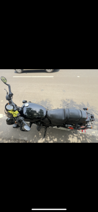 Black Harley Davidson Street Rod