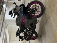 Magenta & Grey Yamaha R15 V4