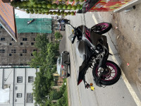 Magenta & Grey Yamaha R15 V4