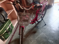 Bicycle Ladybird 2023 Model