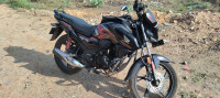 Honda SP125 Disc 2025 2024 Model