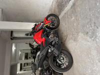 Honda CB300F 2024 Model