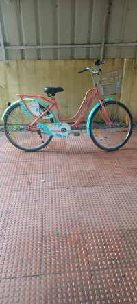 Hero Cycles Hero Liva 26T 2023 Model