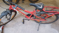 Bicycle Hercules 2022 Model
