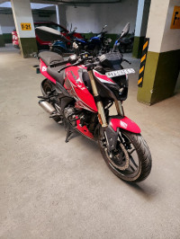 Bajaj Pulsar N250 2024 2024 Model