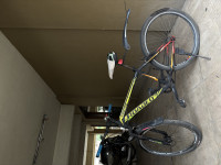 Bicycle Hercules 2024 Model