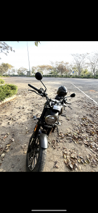 Harley Davidson X 440 2024 Model