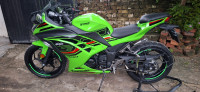 Kawasaki Ninja 300 BS6 2024 Model