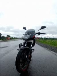 Bajaj Pulsar 125 Neon Disc Single Seat 2024 Model