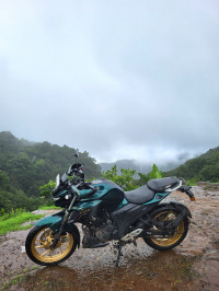 Yamaha FZS 25 2020 Model