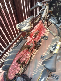 Bicycle Hercules 2018 Model