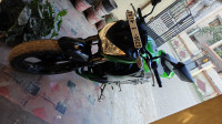 Kawasaki Z250 2015 Model