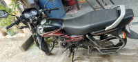 Honda Shine 100 2024 Model
