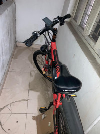 EMotorad T-Rex Plus 2024 Model