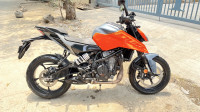 KTM Duke 250 2024 2023 Model