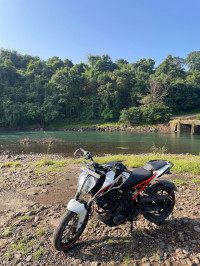 KTM Duke 250 2019 Model