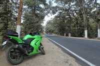 Lime Green Kawasaki Ninja 250R