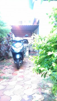 Matte Black Honda Dio